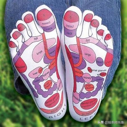 58种袜子类型介绍，买袜子不再迷茫了，超详尽的袜子大百科来了