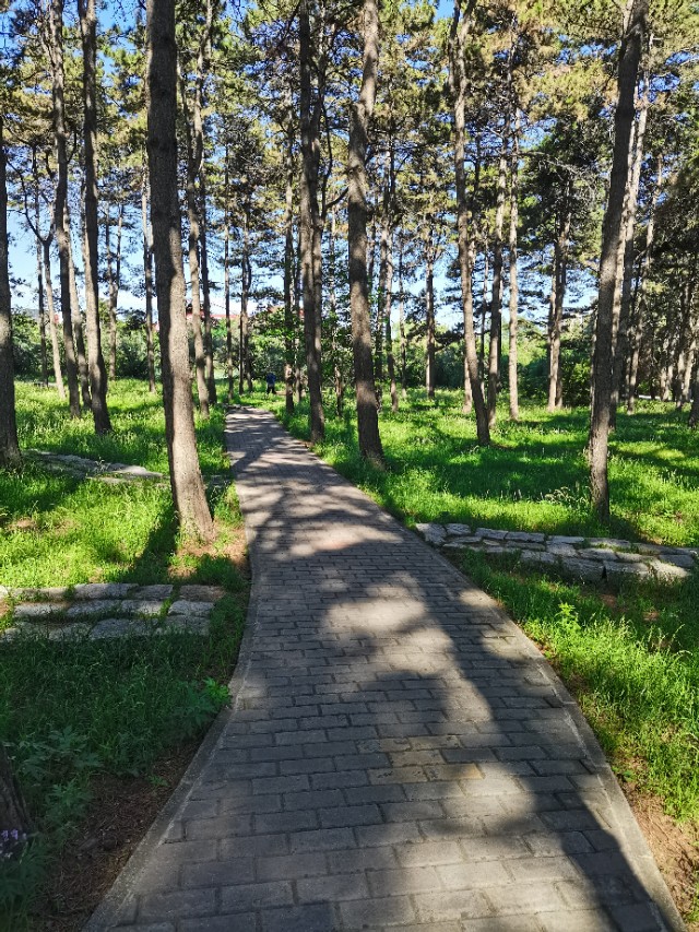 一个人被三个人讹怎么处理,被人讹了一百块心里不爽怎么办