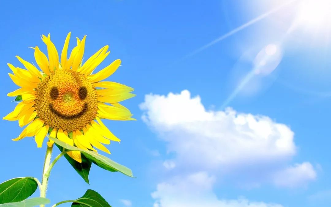 寒湿重用什么经方,被湿气缠身怎么治