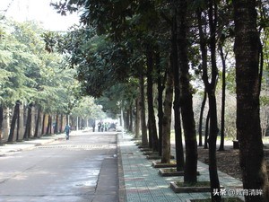 芜湖安师大皖江学院,安徽师大皖江学院转设为芜湖学院