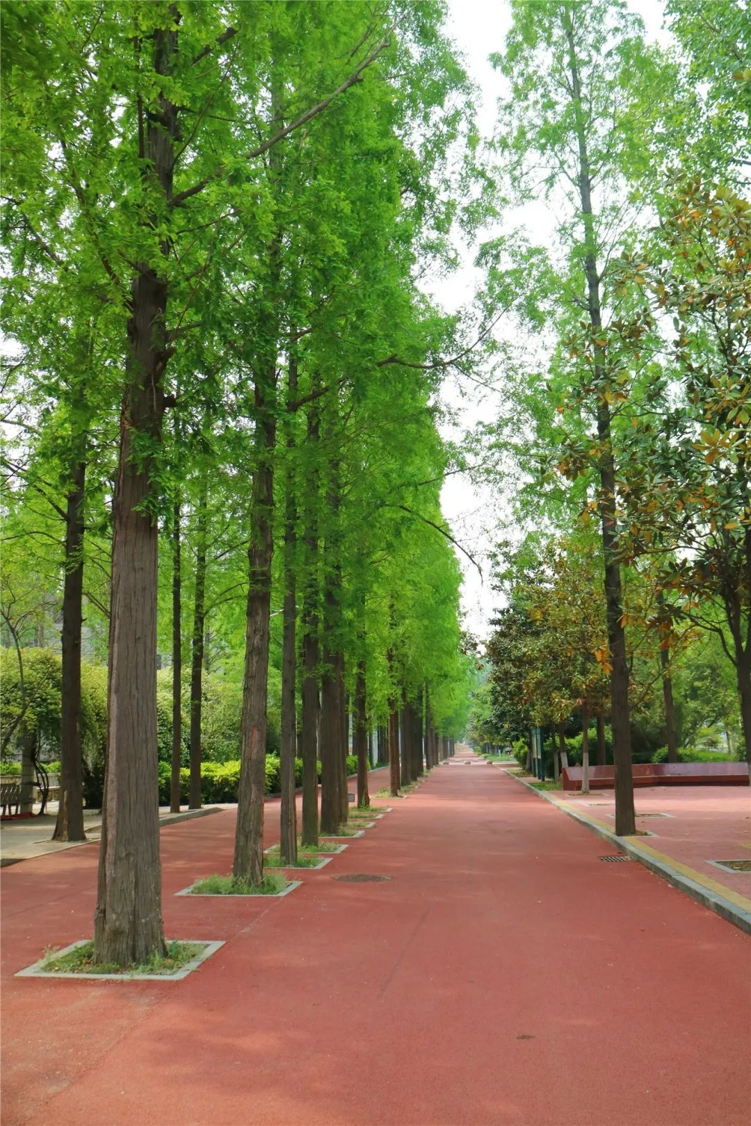 徐州生物工程职业学院2024年单招,徐州生物工程职业技术学院升本科