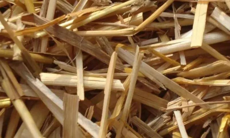 不发霉正宗实木菜板,菜板家用抗菌防霉网红双面菜板