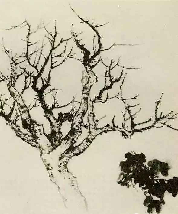 怎样画树画得好看,怎么画树最简单而且还最好看