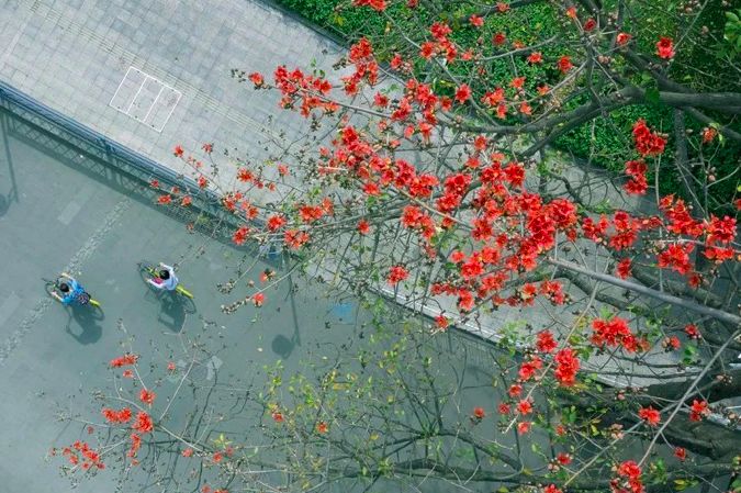 带爸妈云南旅游注意什么,云南旅游注意事项视频