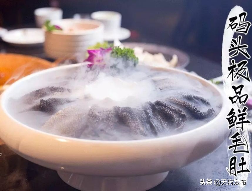 世警会游玩视频,世警会时间安排表