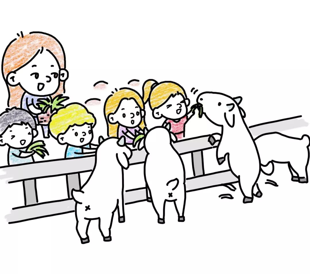 国家对华德福的态度,华德福在中国的发展历程