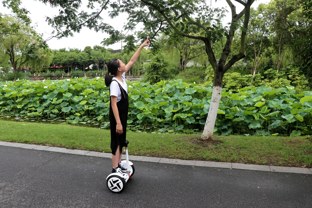 最高时速可达80公里小时,最高时速可达180公里以上