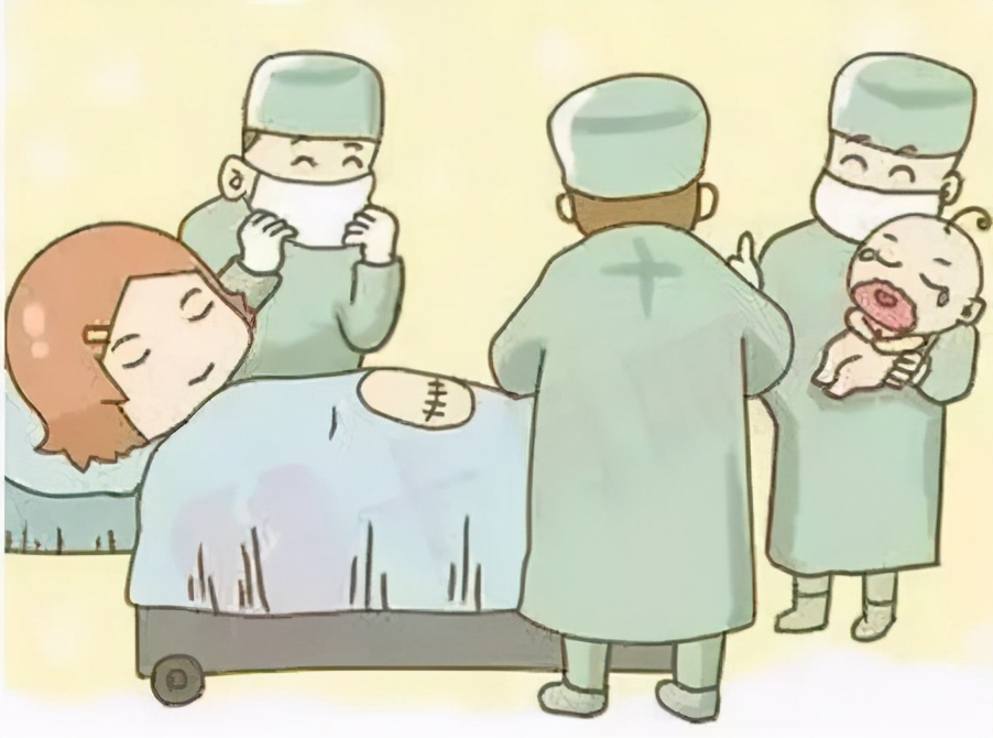 荷兰你不知道的10个冷知识,荷兰100条冷知识