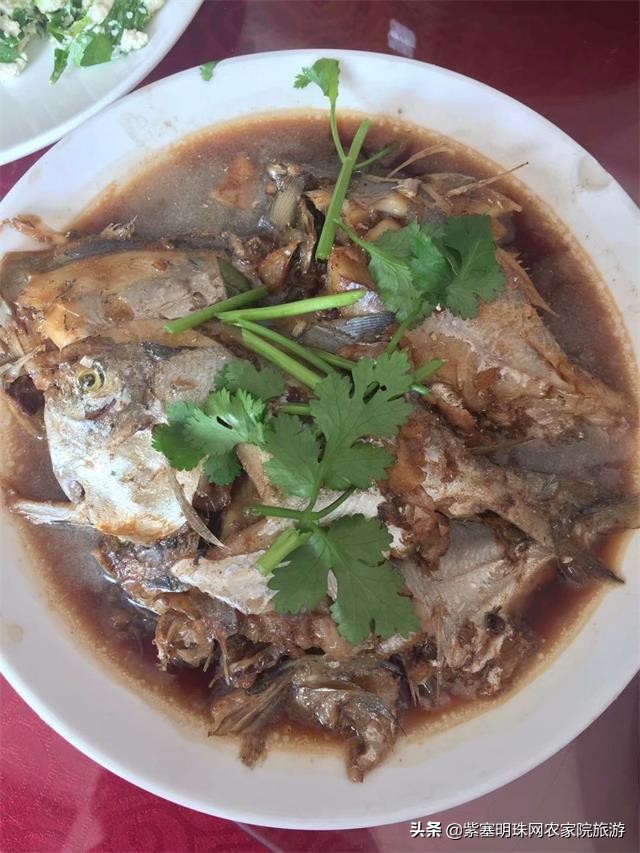 绉︾殗宀涙梾娓稿彲浠ュ嚭娴锋崟楸肩殑鍦版柟 (绉︾殗宀涚墽娴疯繙鑸啘瀹堕櫌)