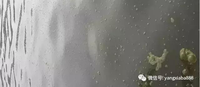 村民养鱼往水库里倒鸡粪当肥料,村民养鱼往水库里倒鸡粪