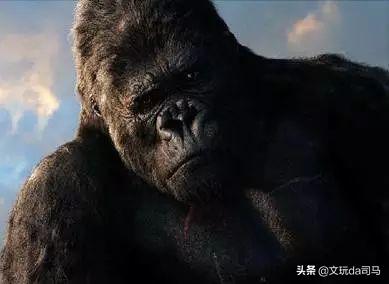 金刚菩提盘玩中的效果图片大全,文玩菩提图解