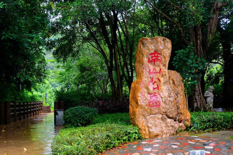 云浮南山森林公园锦鸡,云浮南山森林公园航拍