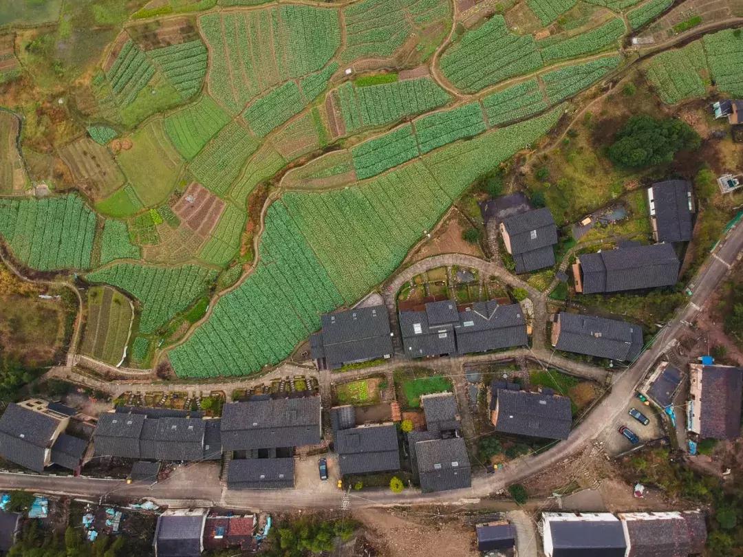 藏在山间民宿,藏在山里小民宿