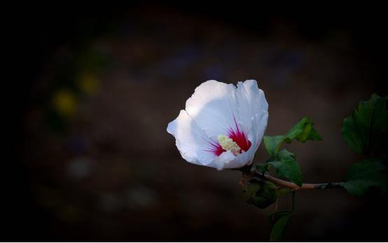 如何夸人彩虹屁显得高级,如何吹彩虹屁夸人帅