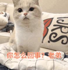 东哥的鬼片,东哥的电脑