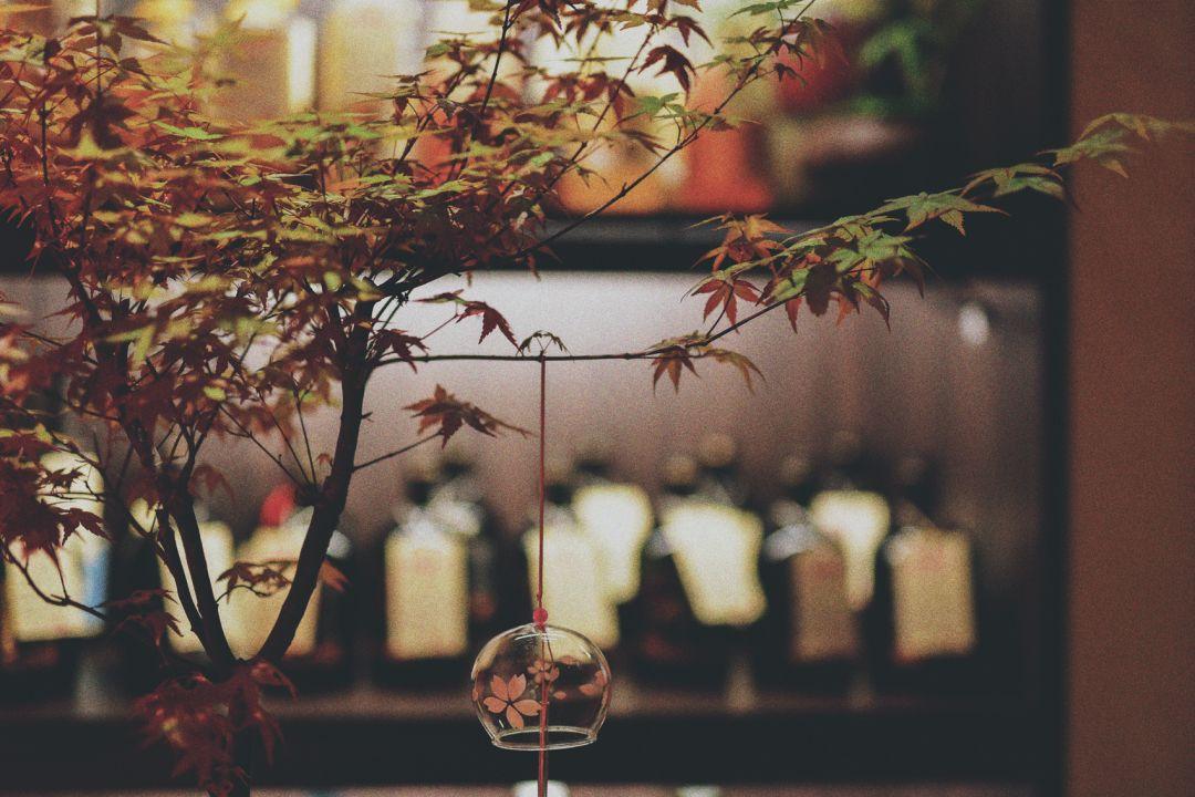 体育西美食日料,体育西日本料理