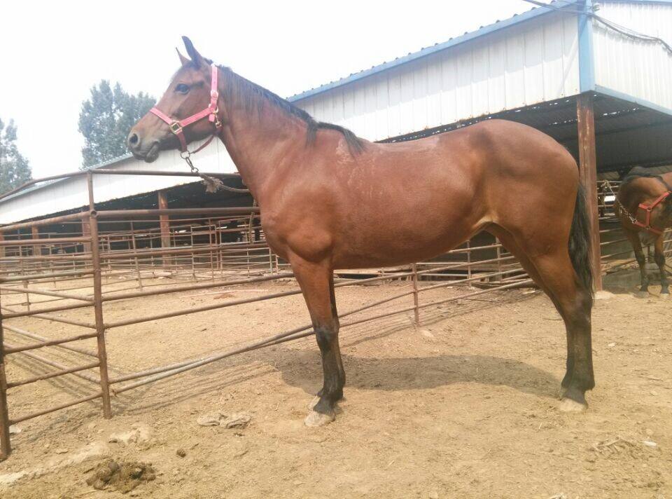 中国六千年历史朝代,中国6000年疆域变迁