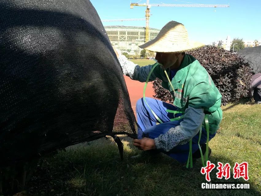 逃课的大学生,看到园丁大叔躲角落看医书,你惭愧吗?