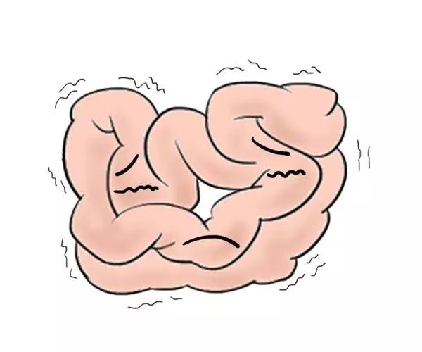 盆底肌损伤会导致便秘么,产后便秘跟盆底肌有关系吗