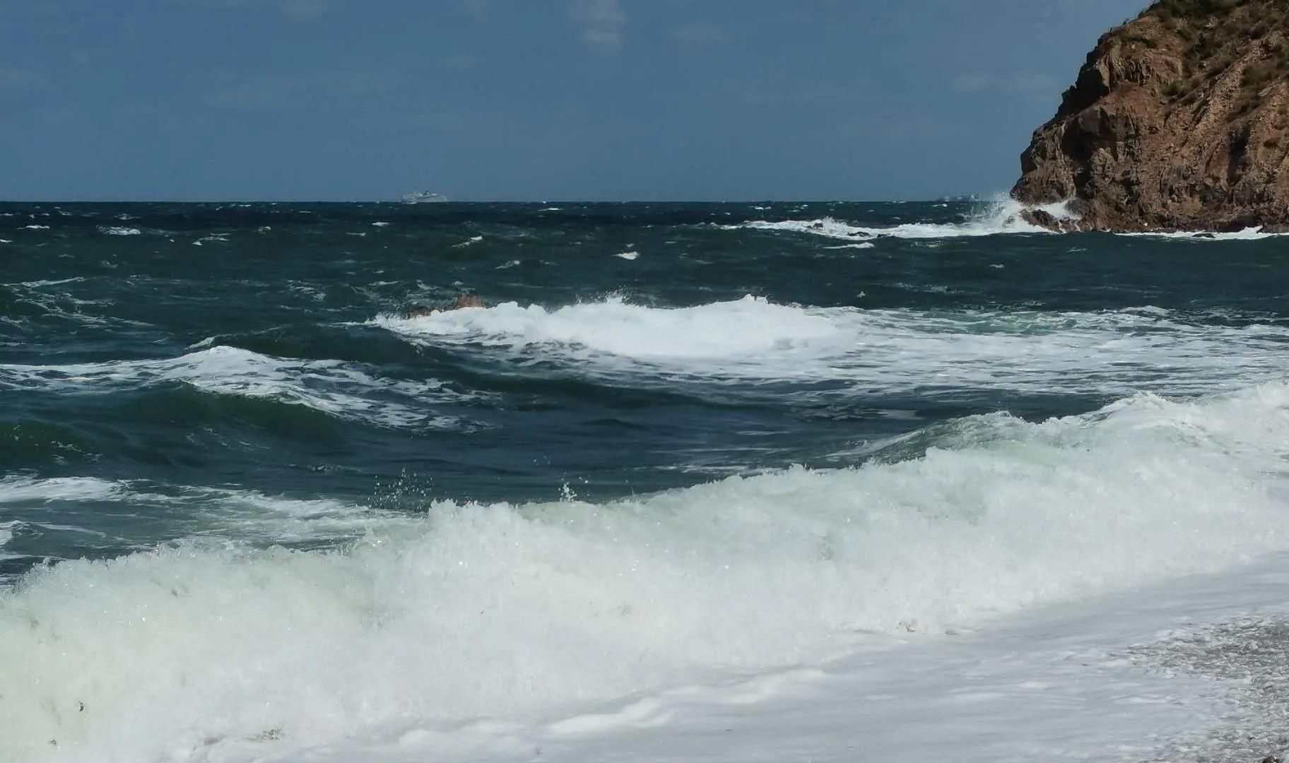 怎样才能读懂作者的感情表达,有哪些方法读懂作者情感