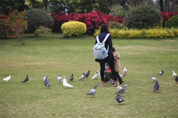 去厦门吹海风,来去厦门观光享受清凉的海风