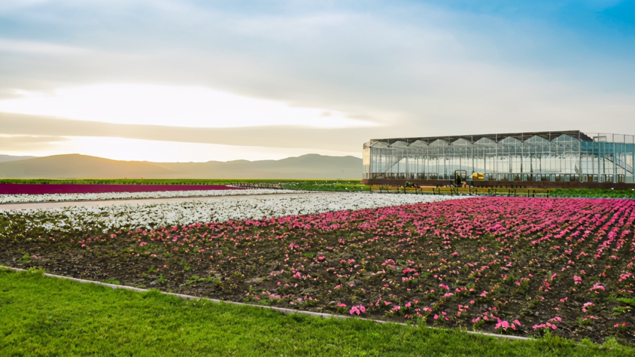 额尔古纳旅游游记,自驾游俄罗斯绥芬河