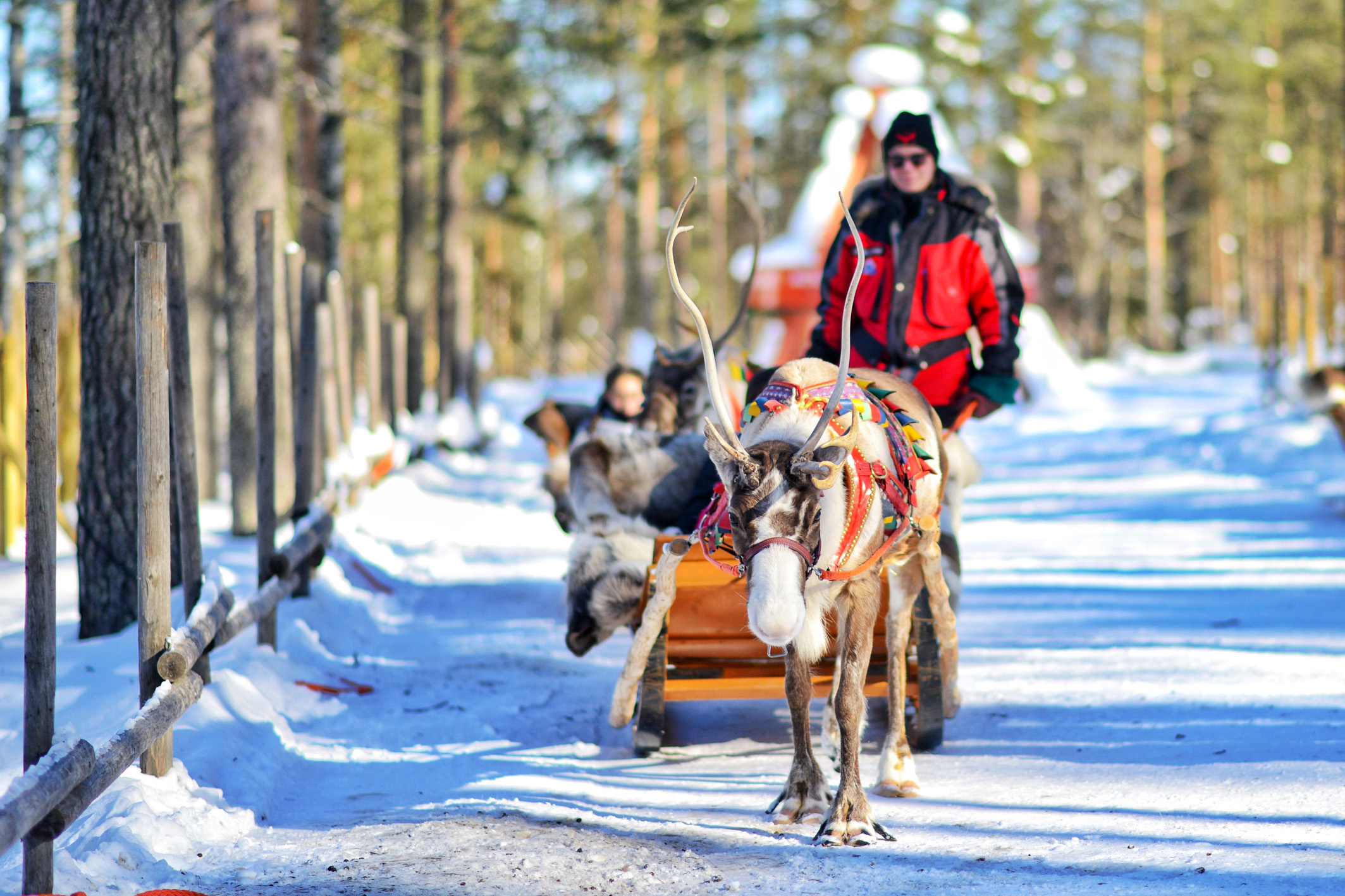 唯一一个位于北极圈上的城市,唯一在北极圈的省会城市