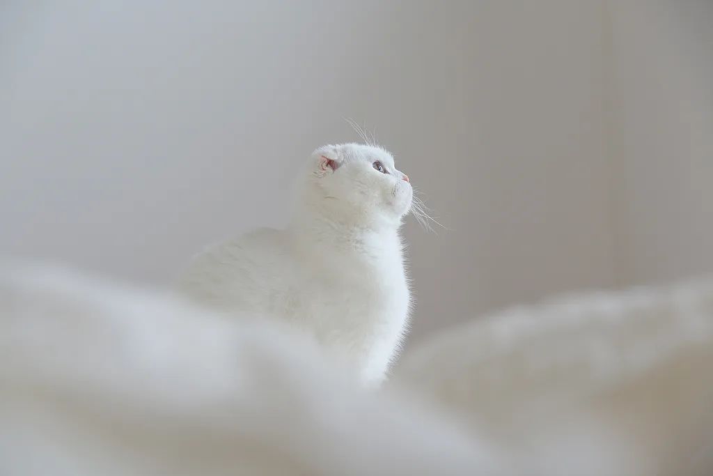 你有什么资格说爱我吗,你有什么资格说爱我完整版