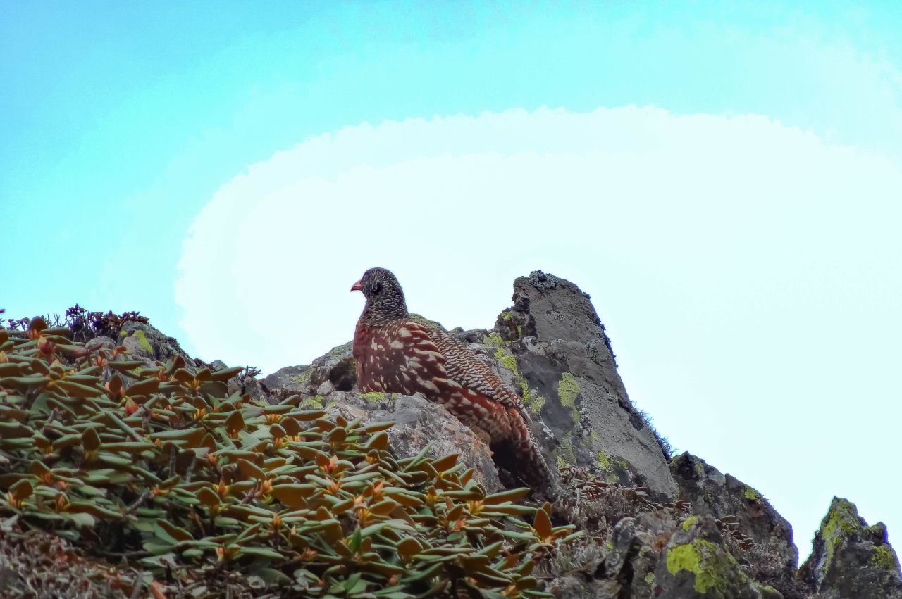 从高山之巅到深海之渊,流石滩徒步攻略