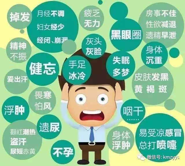 肾虚哪种补肾药见效快,肾虚吃补肾药为什么反而更严重