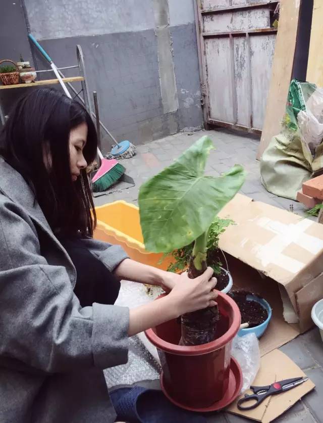 梦想改造家小户型,农村庭院改造效果图大全