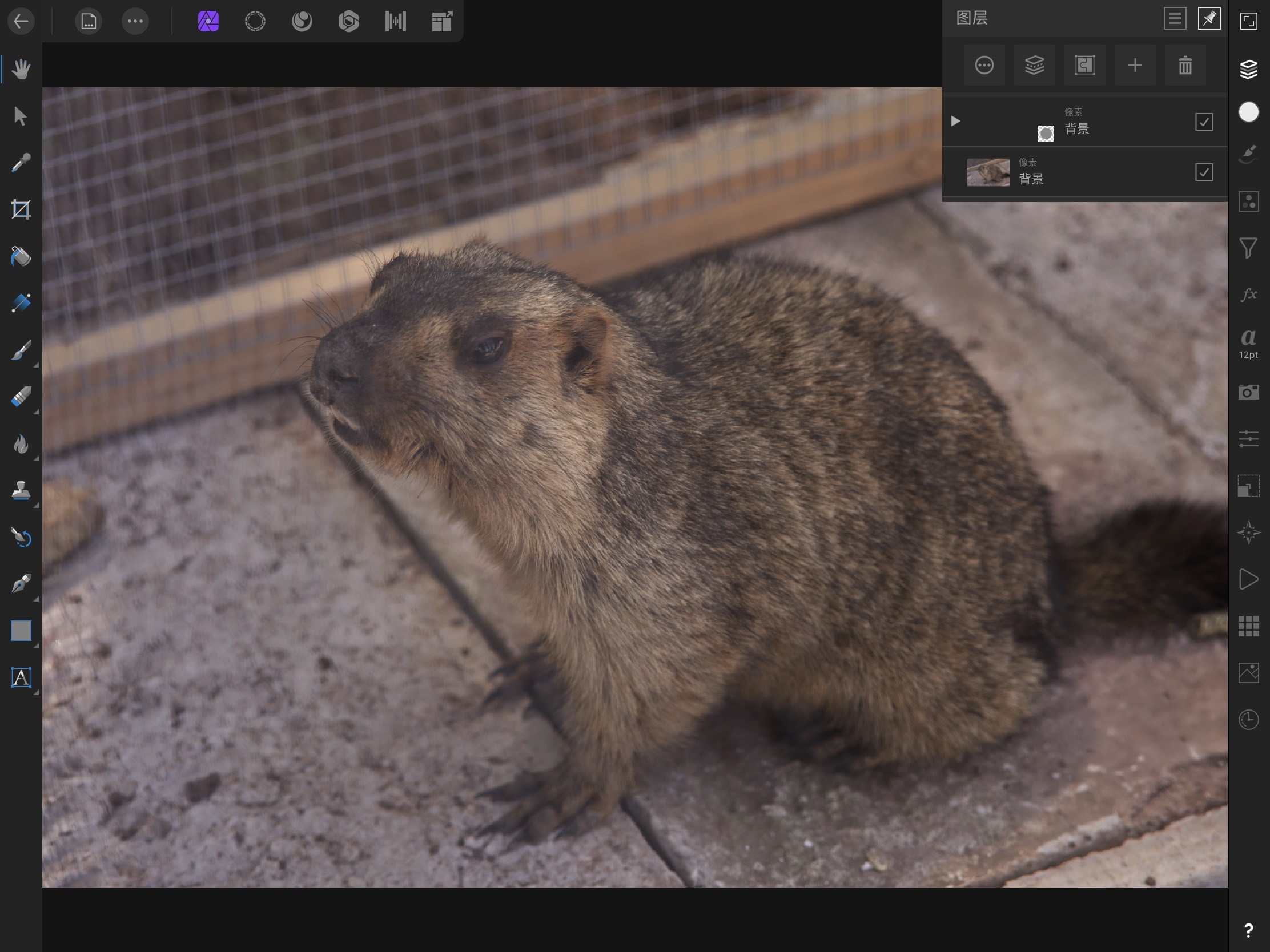 affinityphotoforipad蒙版,affinityphotoforipad