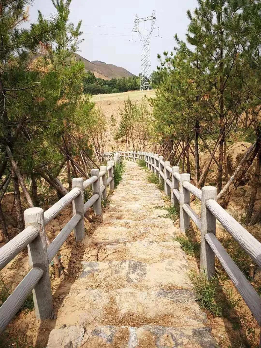 过五一，就来“农味儿十足”黄合少！