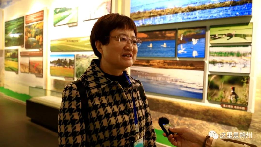 塞上绿洲环境科技有限公司,朔州塞上绿洲唱响生态欢歌