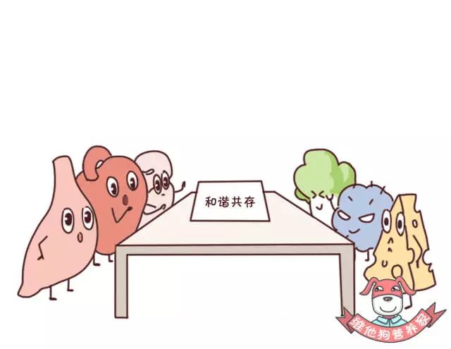 突然之间便秘失眠,一出远门就便秘怎么办