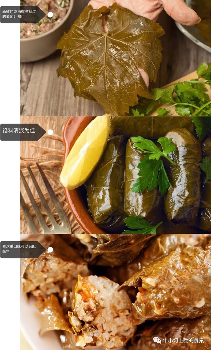 聚天地之灵气纳日月之精华道德经,聚天地之元气纳日月之精华