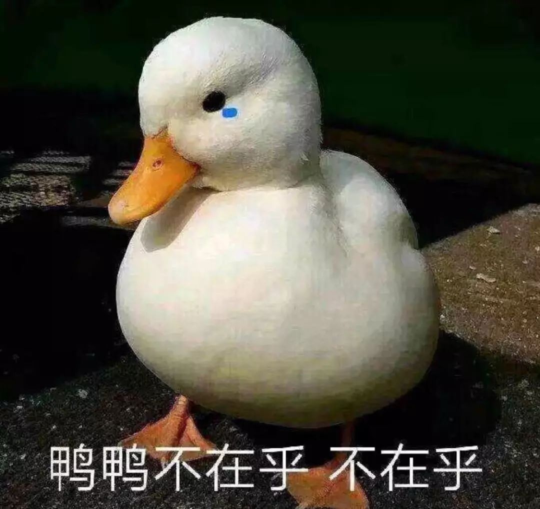 名创优品什么东西必买,名创优品买什么便宜又好用