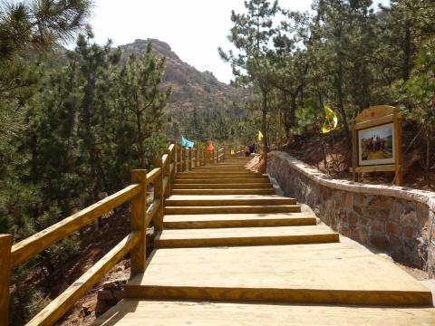 城阳一张“名片”更亮了，群众体育发展全国有名