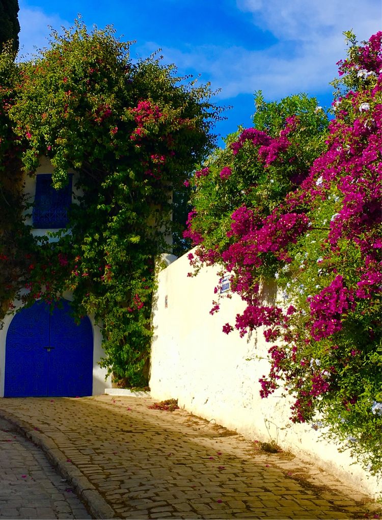 突尼斯市是世界文化之都吗,突尼斯的千年古城