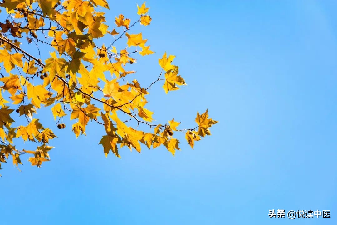 胆囊炎胆结石不能吃哪些食物,治疗胆囊炎胆结石的用药技巧