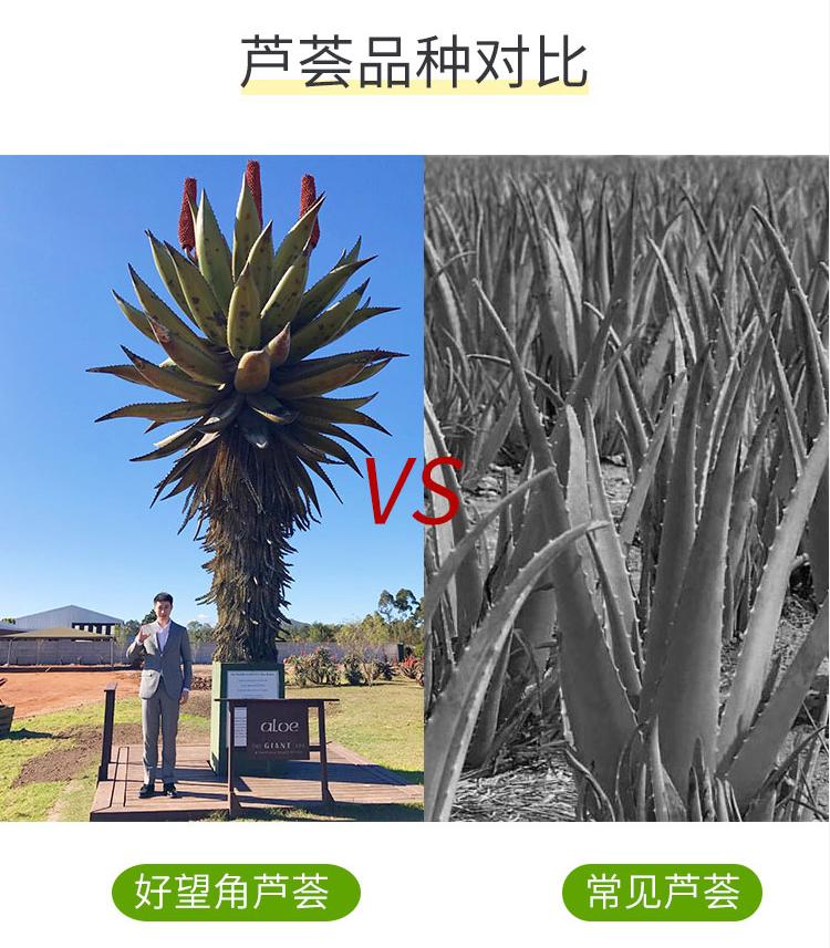 韩国芦荟胶真的好用吗,韩国芦荟胶真假对比图