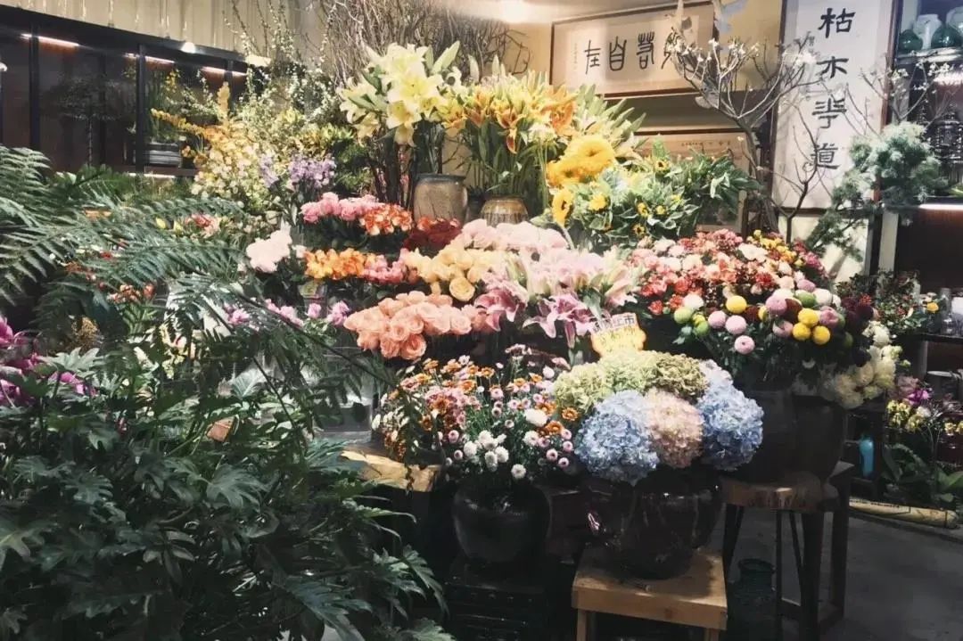 厦门藏匿着的美好,厦门是一座非常迷人的城市