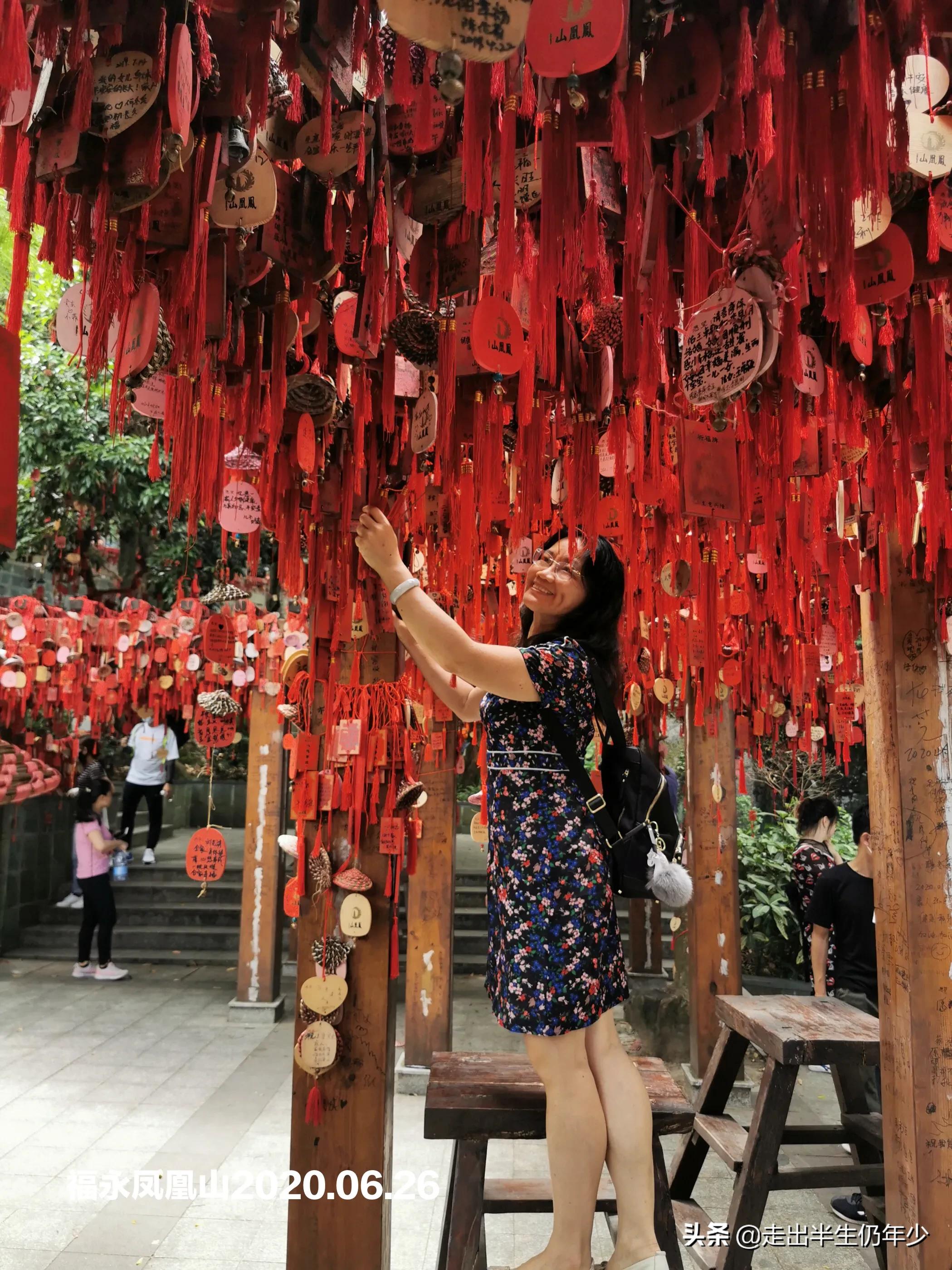我眼中美丽的深圳,回忆深圳福永