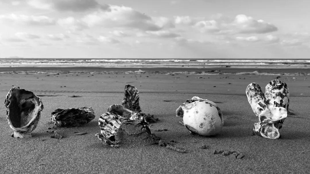 iphone相机操作指南广角镜头篇,iphone相机操作指南3.0