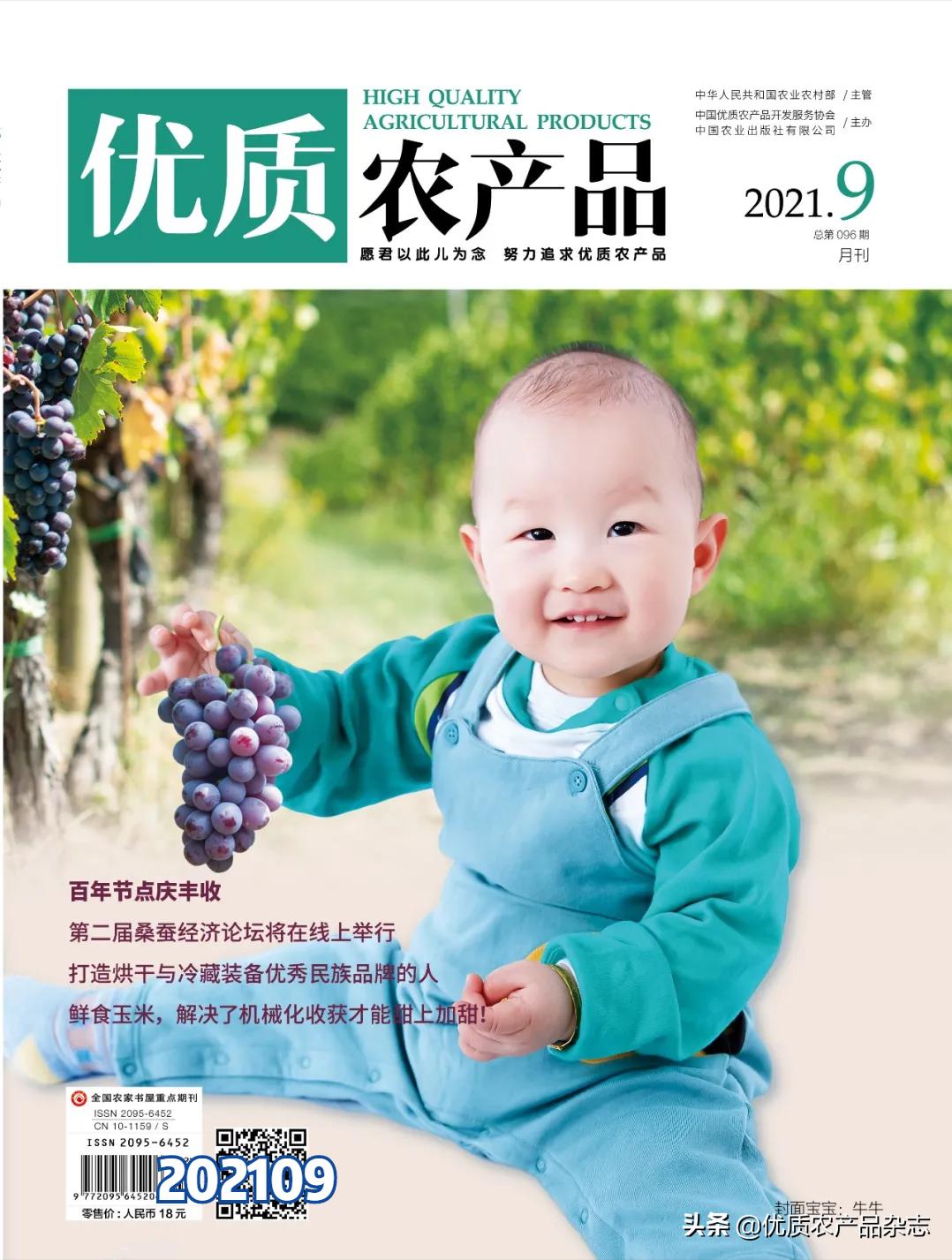 这颗桃不一般！看麻兰油桃如何“桃”人欢心