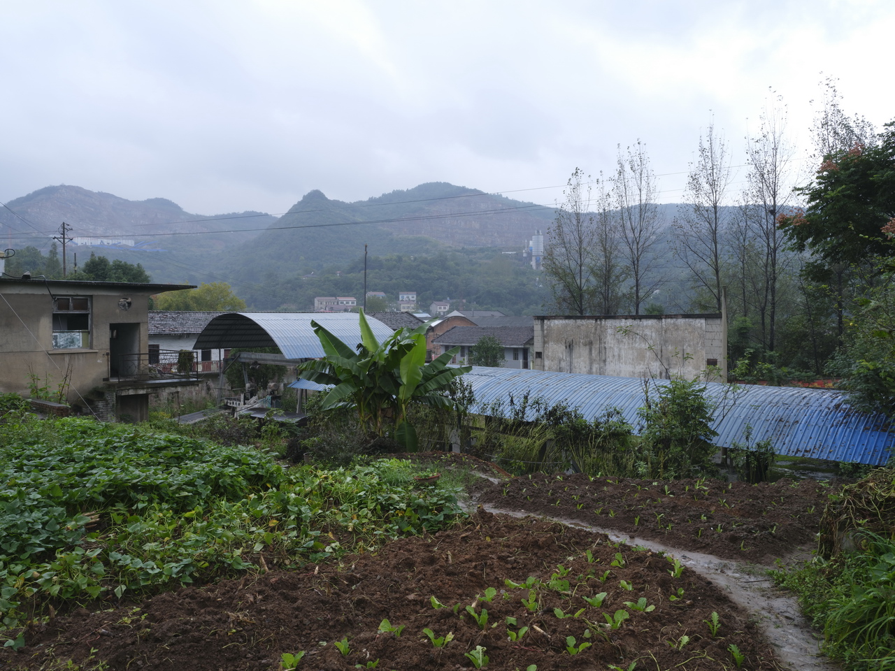 湖北三线厂名单515厂,湖北三线厂名单5713厂