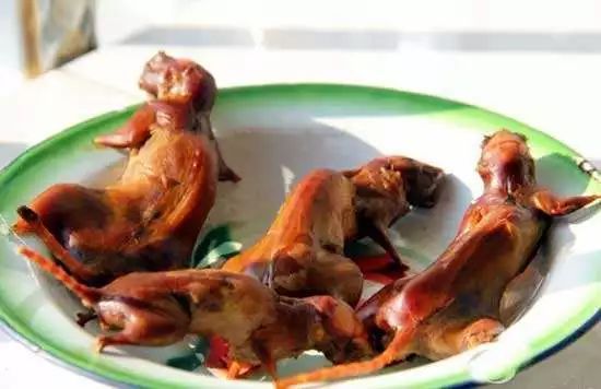 臭屁虫卖到450元一斤,臭屁虫能卖多少一斤