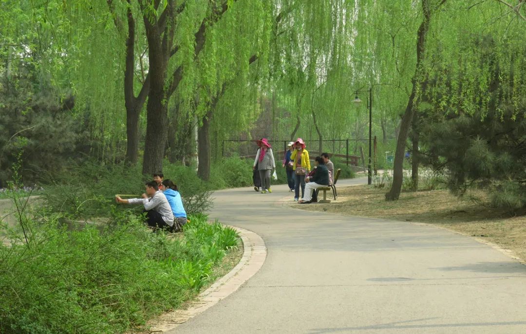 北京戒台寺郊野公园,北京燕山东岭郊野公园