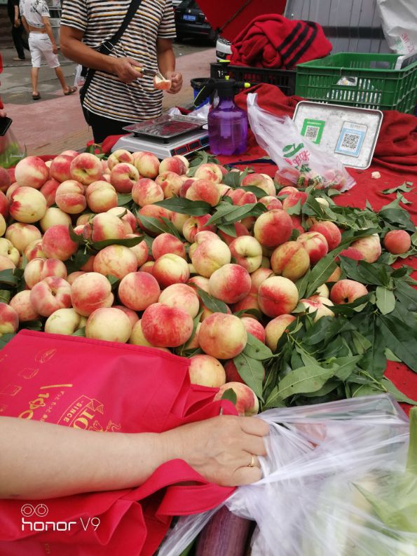 <html>
<head><title>502BadGateway</title></head>
<body>
<center><h1>502BadGateway</h1></center>
<hr><center>nginx</center>
</body>
</html>
<!--apaddingtodisableMSIEandChromefriendlyerrorpage-->
<!--apaddingtodisableMSIEandChromefriendlyerrorpage-->
<!--apaddingtodisableMSIEandChromefriendlyerrorpage-->
<!--apaddingtodisableMSIEandChromefriendlyerrorpage-->
<!--apaddingtodisableMSIEandChromefriendlyerrorpage-->
<!--apaddingtodisableMSIEandChromefriendlyerrorpage-->
