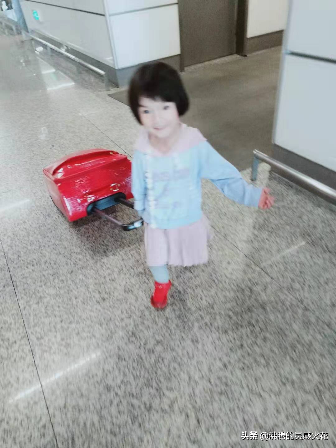 感受异国风情西双版纳,亲近长隆野生动物的一天